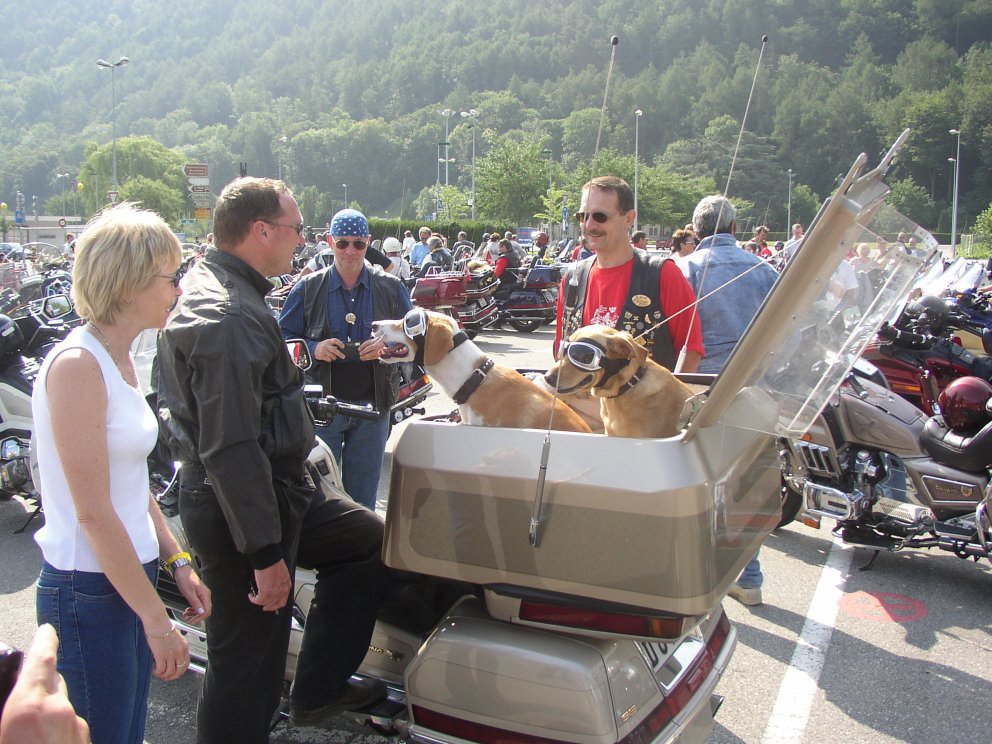 Ein Platz f�r Tiere